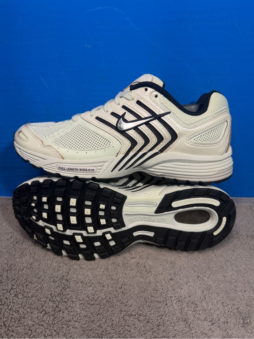 Nike AIR pegesus 2K5 
Sea glass
brand new
NWOT